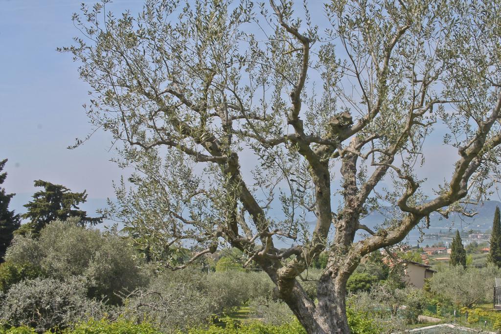 Lovely Villa Elena - Garda Lake 바르돌리노 외부 사진